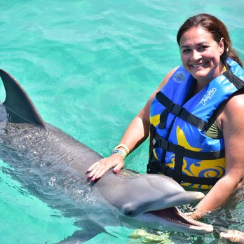 Dolphin Discovery Isla Mujeres - Me & Angelica the teenage Dolphin - Tours Near Me - Isla Mujeres, ROO Dolphin Discovery Isla Mujeres - Me & Angelica the teenage Dolphin - Tours Near Me - Isla Mujeres, ROO