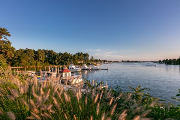 The Tides Inn by null