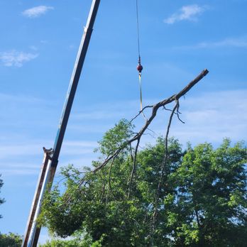Joey D's Tree Service - Tree Services Near Me - Andover, Minnesota Joey D's Tree Service - Tree Services Near Me - Andover, Minnesota