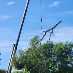 Joey D's Tree Service