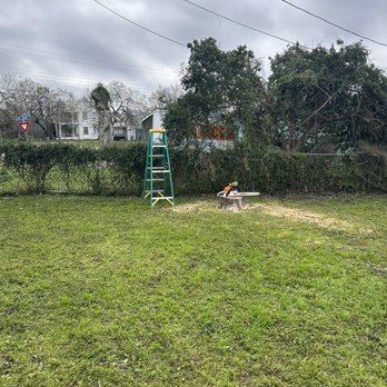 Some of it All - Tree removal - Tree Services Near Me - Mathis, Texas Some of it All - Tree removal - Tree Services Near Me - Mathis, Texas
