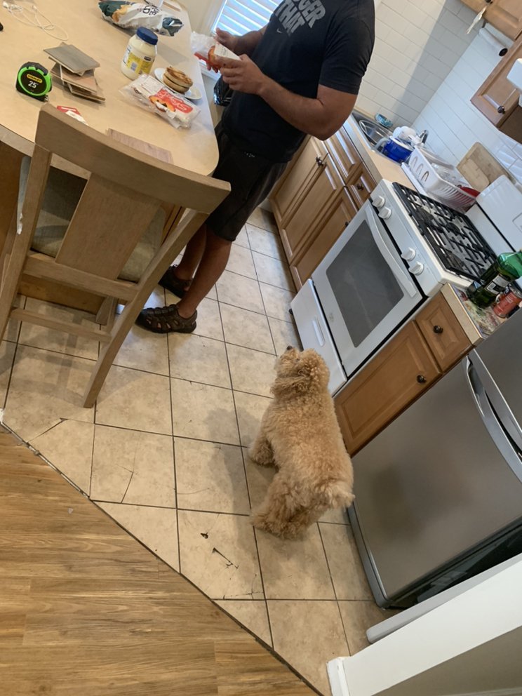 Slide of The Handy Pros