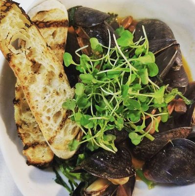 Jessie's Harvest House Restaurant by null