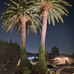 Greentree Electrical Services