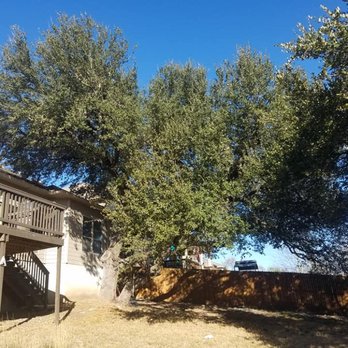 Texas Hill Country Trees - Before - Tree Services Near Me Texas Hill Country Trees - Before - Tree Services Near Me