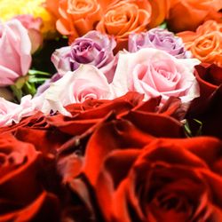Littlefield Flowers & Gifts