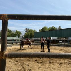 Gibson Ranch