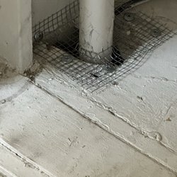 Rodent Professor - Every opening sealed with mesh wiring