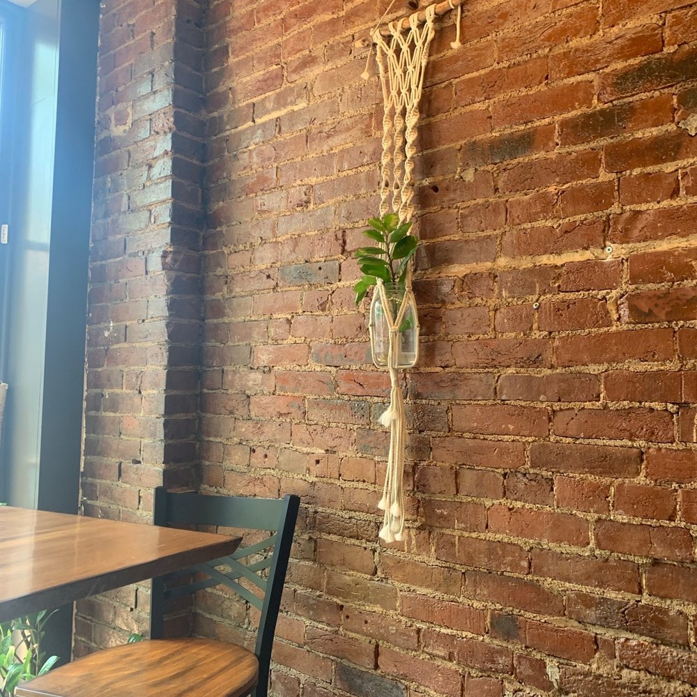 Heartwood - plants everywhere... very boho and relaxing - Juice Bars & Smoothies Near Me - St. Charles, Missouri Heartwood - plants everywhere... very boho and relaxing - Juice Bars & Smoothies Near Me - St. Charles, Missouri