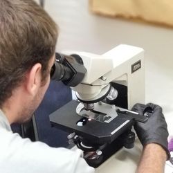 All Bay Environmental - Post asbestos abatement air sample analysis.