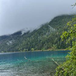 Fairholme Campground - Crescent lake