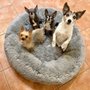 Photo of Coronado Pet Hospital