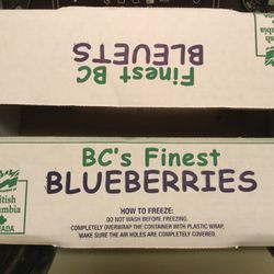 Dulay Brother Berry Farms - ... freezing tip.