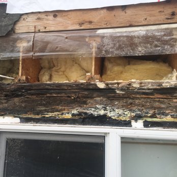 Begin Inspections - Moisture was trapped above this window frame. Stucco finish. - Home Inspectors Near Me - Calgary, Alberta Begin Inspections - Moisture was trapped above this window frame. Stucco finish. - Home Inspectors Near Me - Calgary, Alberta
