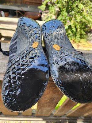 Bay to Breakers by null