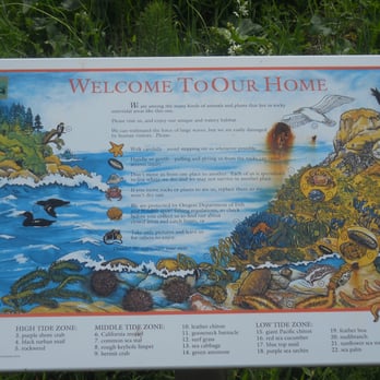 Ecola State Park - Parks Near Me - Cannon Beach, Oregon Ecola State Park - Parks Near Me - Cannon Beach, Oregon