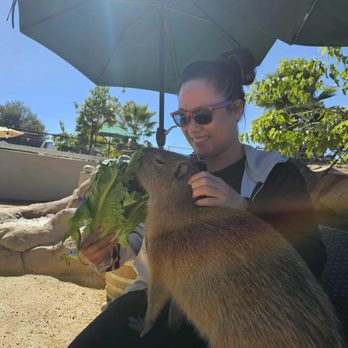 Conservation Ambassadors - Zoo to You - Zoos Near Me - Paso Robles, California Conservation Ambassadors - Zoo to You - Zoos Near Me - Paso Robles, California