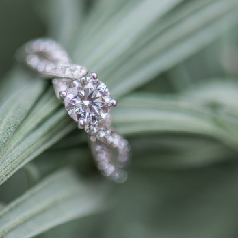 Alison Mae Photography - Event Photography Near Me