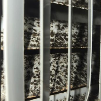 Waters Park Apartments - Mold in HVAC - Apartments Near Me - Austin, Texas Waters Park Apartments - Mold in HVAC - Apartments Near Me - Austin, Texas