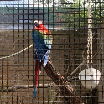 Gladys Porter Zoo - Zoos Near Me - Brownsville, Texas