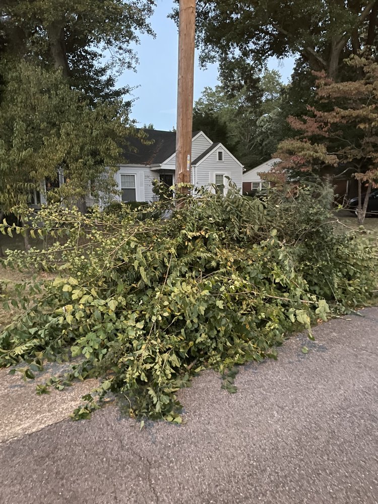 Slide of Shade Tree Landscaping