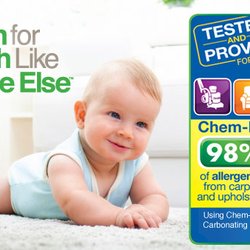 Bridge City Chem Dry - Remove allergens