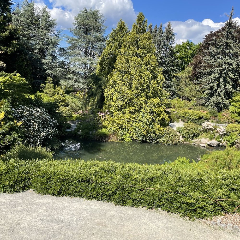 Kubota Garden - Trees - Botanical Gardens Near Me - Seattle, Washington Kubota Garden - Trees - Botanical Gardens Near Me - Seattle, Washington