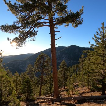 Mount Lewis Via Dawson Saddle - Hiking Near Me - Azusa, California
