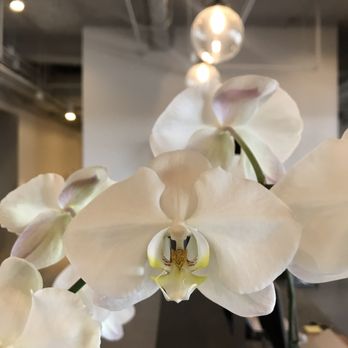 Duran's Flowers - Florists Near Me - Pasadena, California Duran's Flowers - Florists Near Me - Pasadena, California