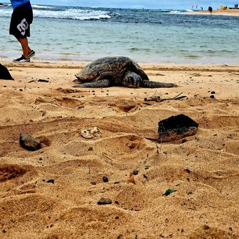 Poipu Beach - Beaches Near Me - Koloa, Hawaii Poipu Beach - Beaches Near Me - Koloa, Hawaii