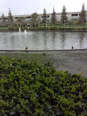 Kaiser Permanente Baldwin Park Medical Center by null