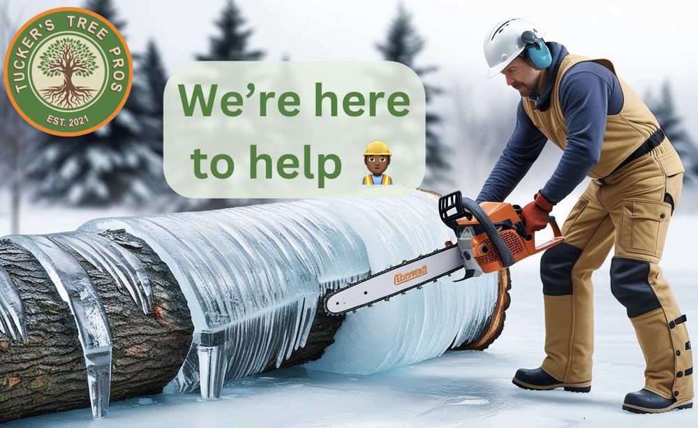 Tuckers Tree Pro - tree service in Memphis, TN