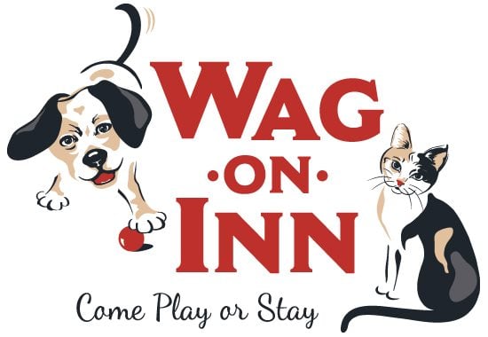 Wag On Inn - pet boarding facility in Medina, OH