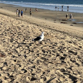 Bolsa Chica State Beach - Beaches Near Me - Huntington Beach, California Bolsa Chica State Beach - Beaches Near Me - Huntington Beach, California