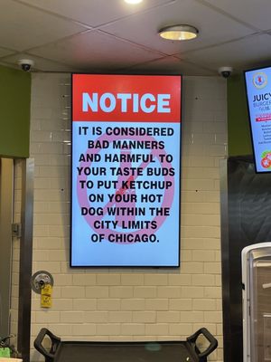 Gold Coast Dogs by null