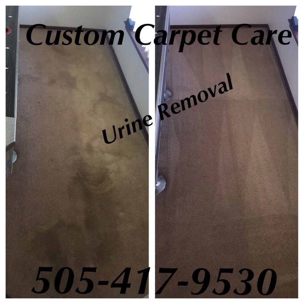 CUSTOM CARPET CLEANING Updated August 2024 10623 Vista Bella Pl NW