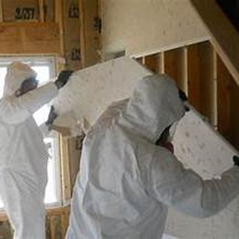 The Mold Guys - Mold Remediation - Environmental Testing Near Me - Venice, Florida