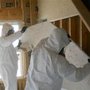 The Mold Guys