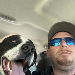 AA Pet Taxi & Transport