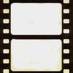 Hollywood Video