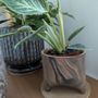 Photo of Robby's Nursery & Calico Gardens