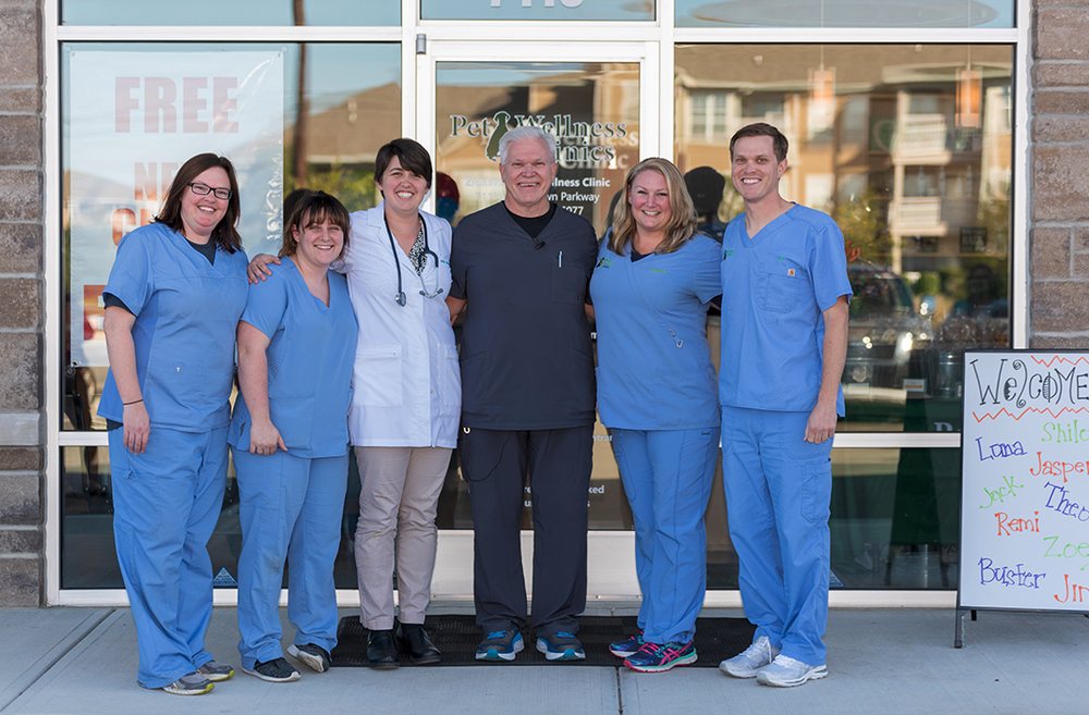 ZIONSVILLE PET WELLNESS CLINIC Updated September 2024 15 Photos