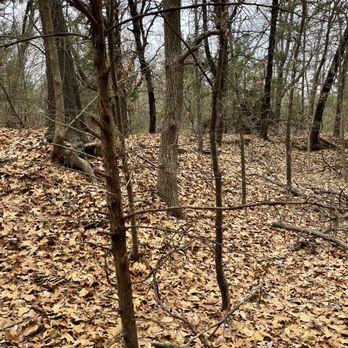 Lake Texoma - ~12-10-21~Tranquillity walk, so peaceful. - Hunting & Fishing Supplies Near Me