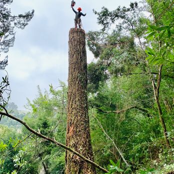 Williams Tree Service - Going all the way up! - Tree Services Near Me - Winamac, Indiana Williams Tree Service - Going all the way up! - Tree Services Near Me - Winamac, Indiana