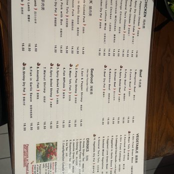 Trendy Dumpling - Noodles Near Me - Houston, Texas Trendy Dumpling - Noodles Near Me - Houston, Texas