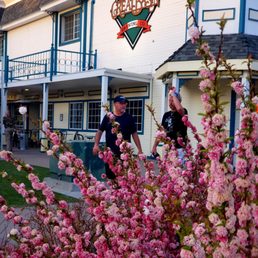 Exterior outside entrance of Great Basin Brewing Co. - Sparks - Outside looking over festive pink blossoms at the outside of the building - Sparks, Nevada Exterior outside entrance of Great Basin Brewing Co. - Sparks - Outside looking over festive pink blossoms at the outside of the building - Sparks, Nevada