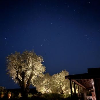 Olive Hill Estates - A place where stars can shine - Olive Oil Near Me - Napa, California Olive Hill Estates - A place where stars can shine - Olive Oil Near Me - Napa, California