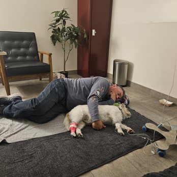Veterinary Emergency Group - Daddy sleeping with her in our room at VEG, - Emergency Pet Hospital Near Me - San Jose, California Veterinary Emergency Group - Daddy sleeping with her in our room at VEG, - Emergency Pet Hospital Near Me - San Jose, California