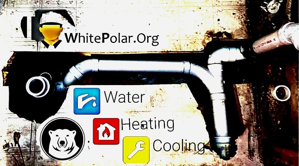 Slide of White Polar