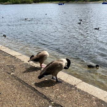 Hyde Park - Parks Near Me